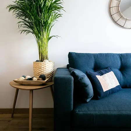 Bleuet - 2 Bedrooms - Air Conditioning, Free Parking & Tram * グルノーブル